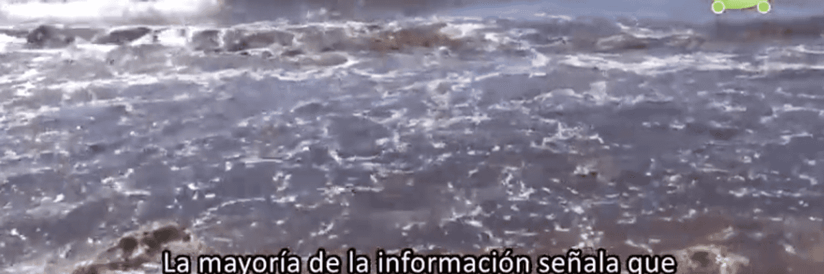 El sargazo, hogar de algunos seres vivos.