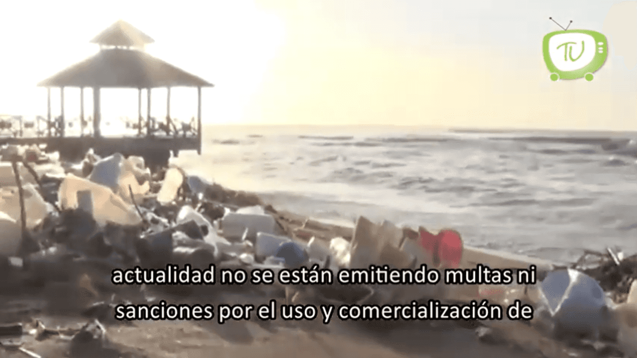 No hay sanciones por uso de plástico en Quintana Roo.