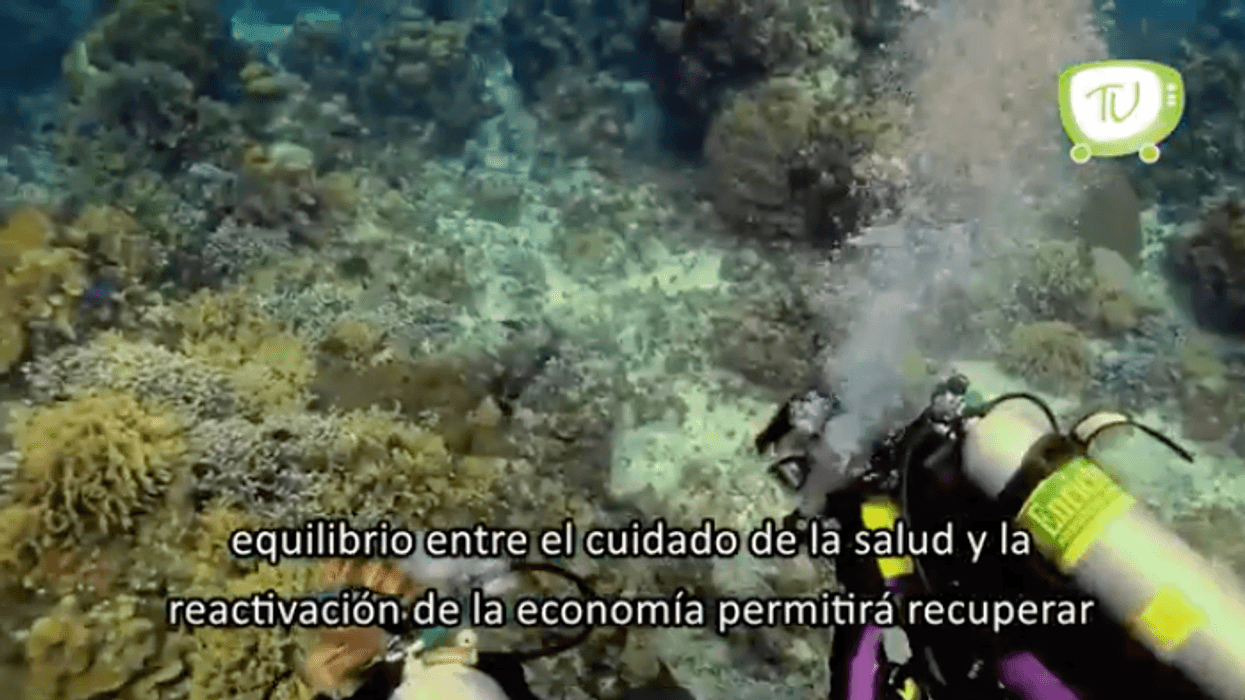 La reactivación económica de Quintana Roo va por buen camino.