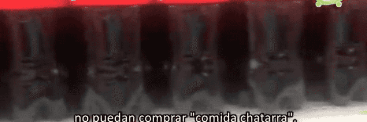 Colegio de Nutrición pide políticas públicas para reforzar hábitos de calidad.