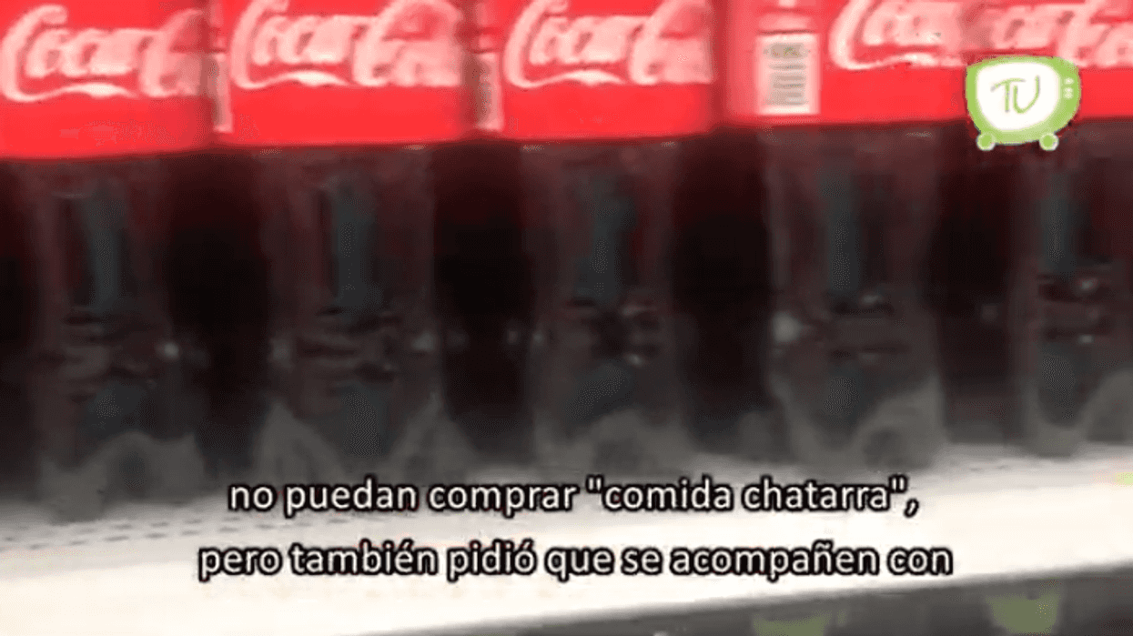 Colegio de Nutrición pide políticas públicas para reforzar hábitos de calidad.