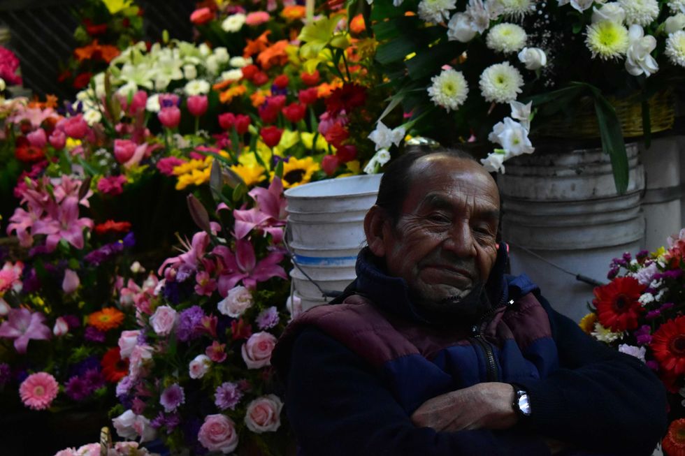 Man sitting among colorful flowers, looking relaxed, arms crossed.