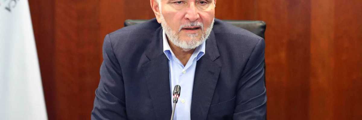 Man with gray beard speaking at a conference table.