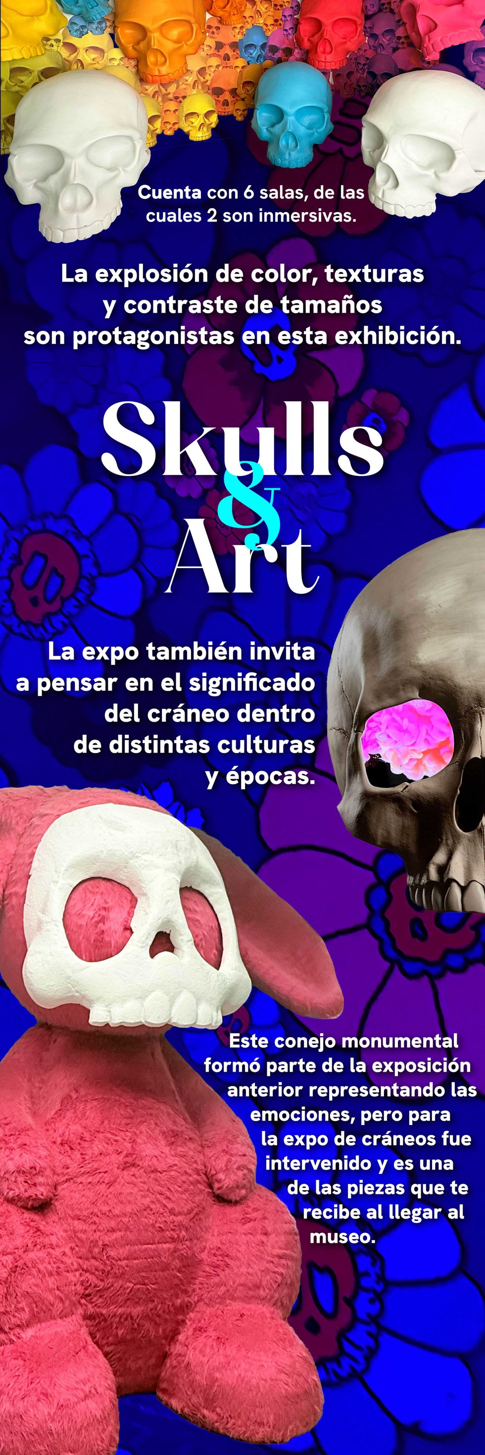 Obras de la exposici\u00f3n Skulls & Art