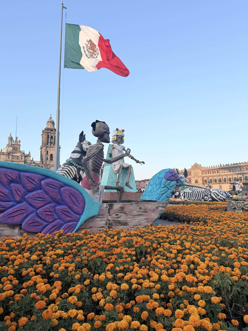 Ofrenda central de la edici\u00f3n 2025 de las ofrendas monumentales del Z\u00f3calo