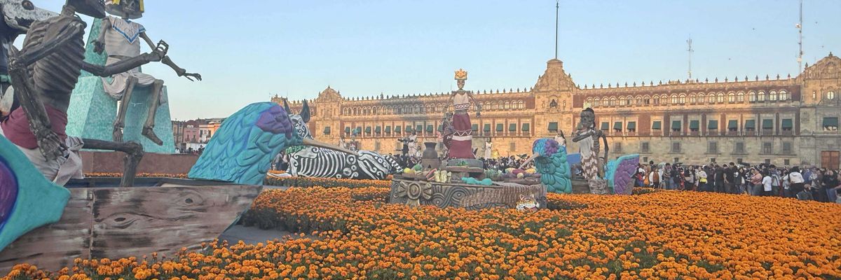 Ofrenda rodeada de flores de cempasúchil