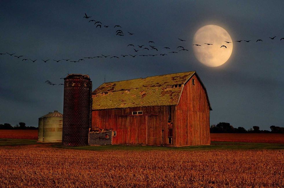Old barn under full moon with flying birds, silhouetted against a dark evening sky.