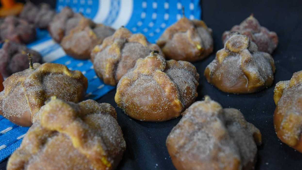 Pan de muerto arranged on a blue cloth, dusted with sugar.