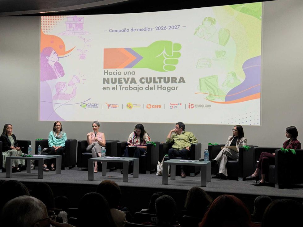 Panel discussion on domestic work culture with a presentation screen behind.