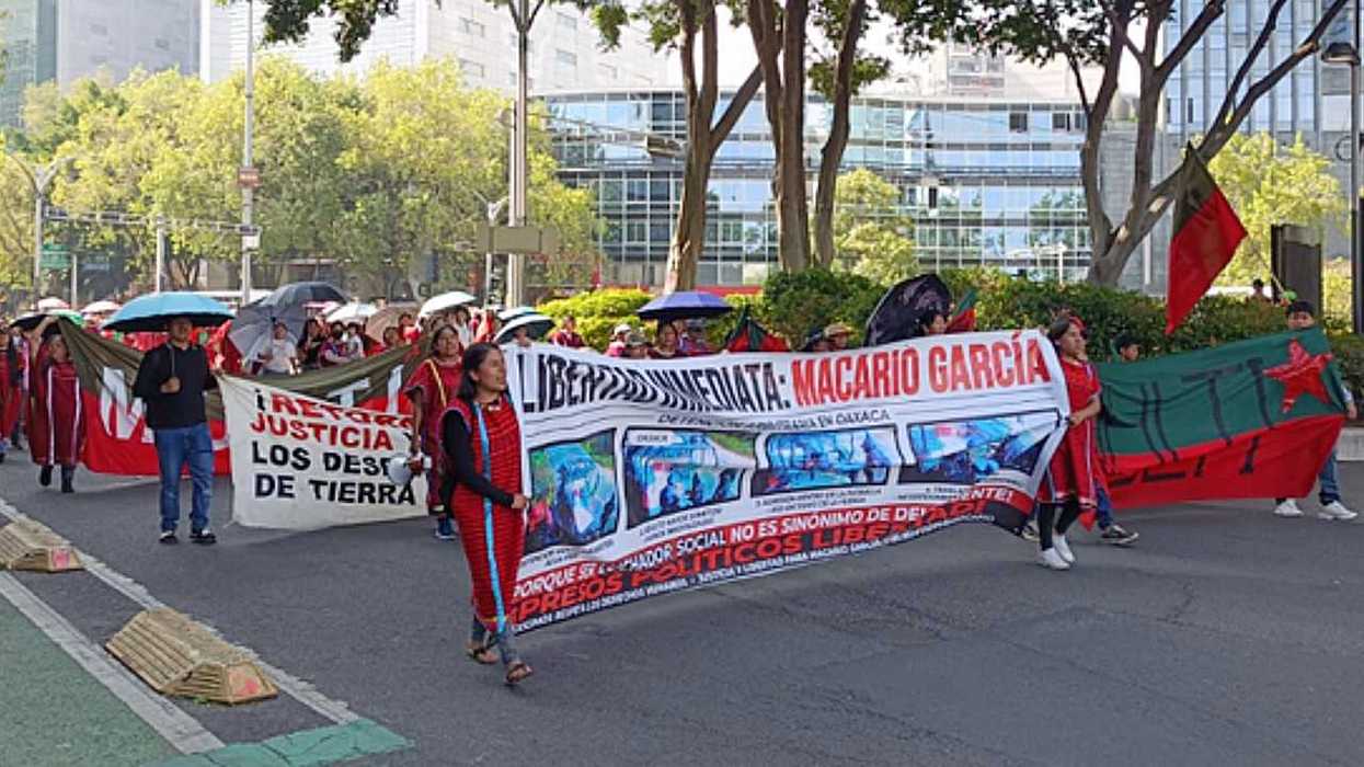 People marching with banners in a city street protest under leafy trees.