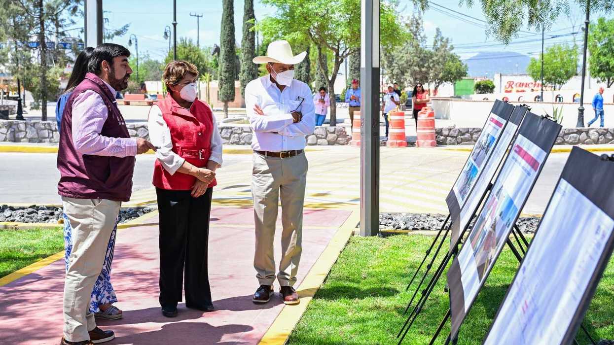 People viewing outdoor display boards on a sunny day, with trees and construction cones nearby.