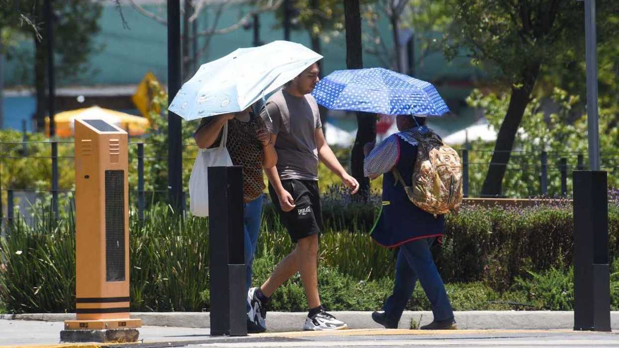 People walking under umbrellas on a sunny day in a park setting.