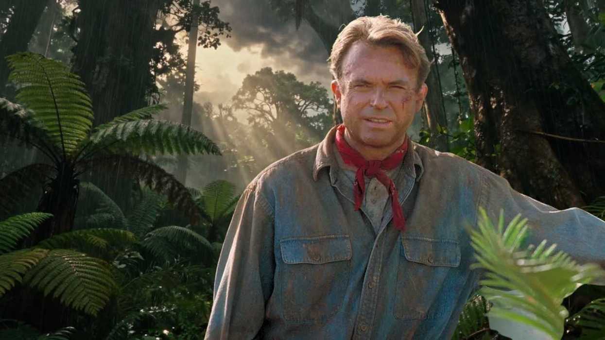 Person in a jungle scene with sunbeams filtering through the trees.
