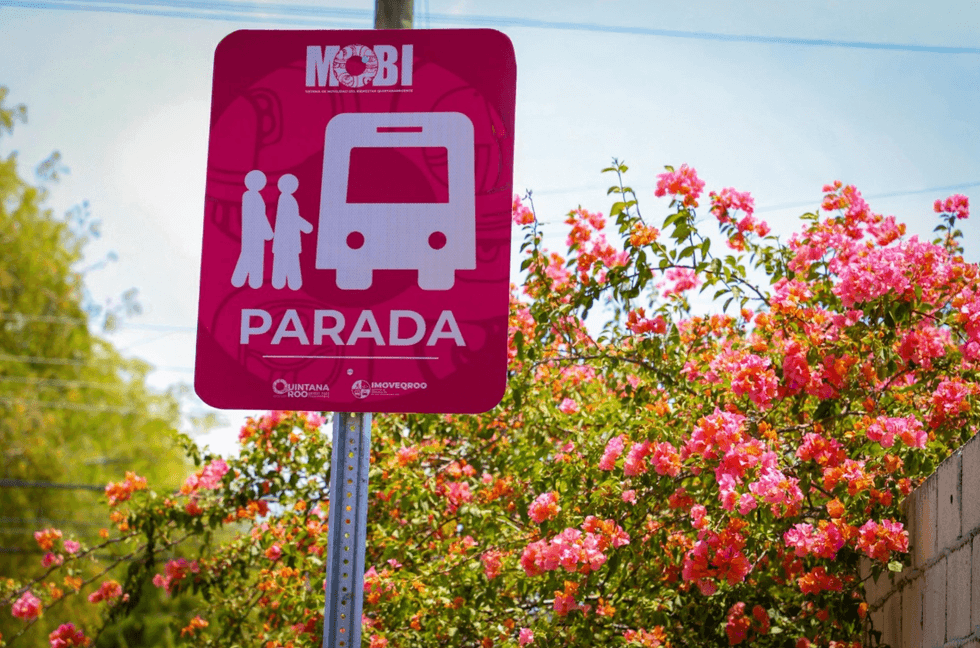 Pink "Parada" bus stop sign near blooming flowers and trees.