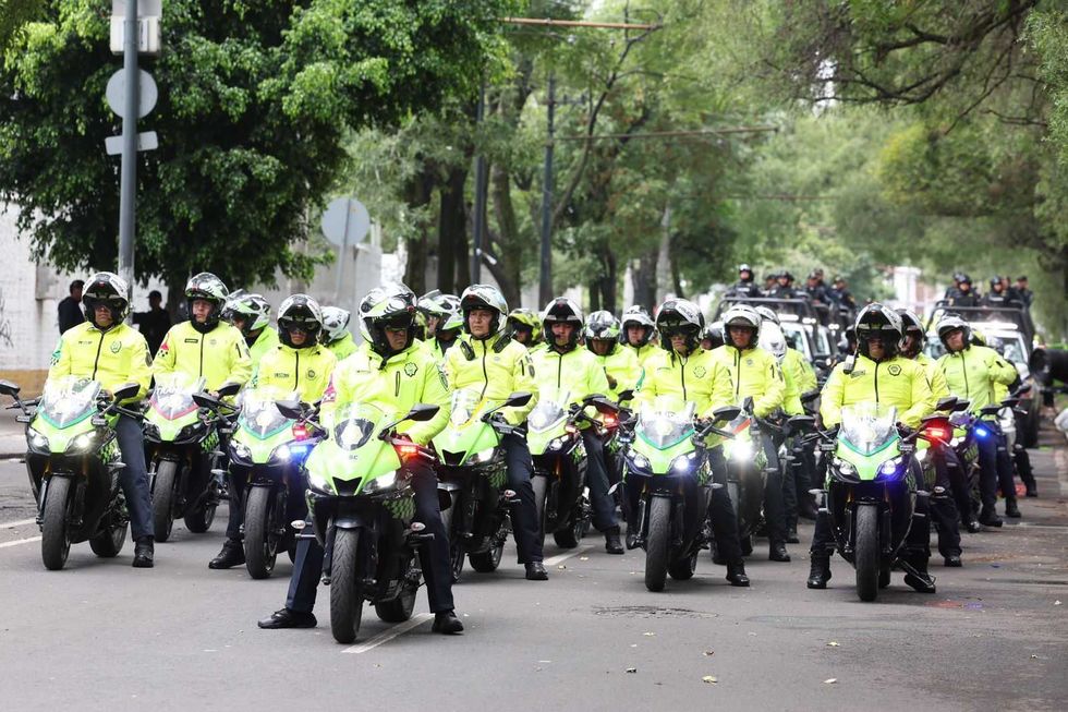 Police officers on motorcycles in bright yellow jackets, riding in formation on a tree-lined street.
