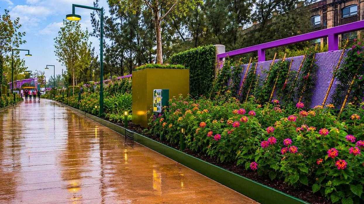 Rainy walkway with pink flowers and green trees, bordered by purple railing.