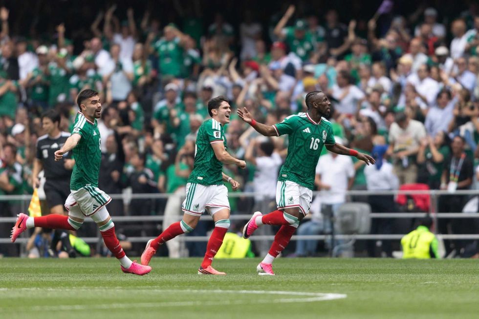 Soccer players in green jerseys celebrate on the field with cheering fans in the background.