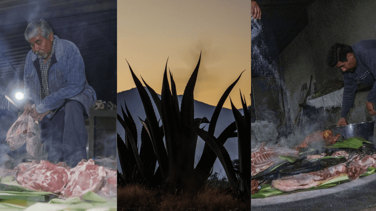Three scenes: a man handling meat, an agave plant at sunset, and a man cooking.