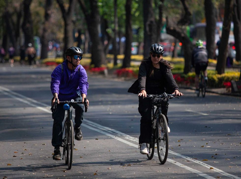 Two people biking on a tree-lined road wearing helmets.