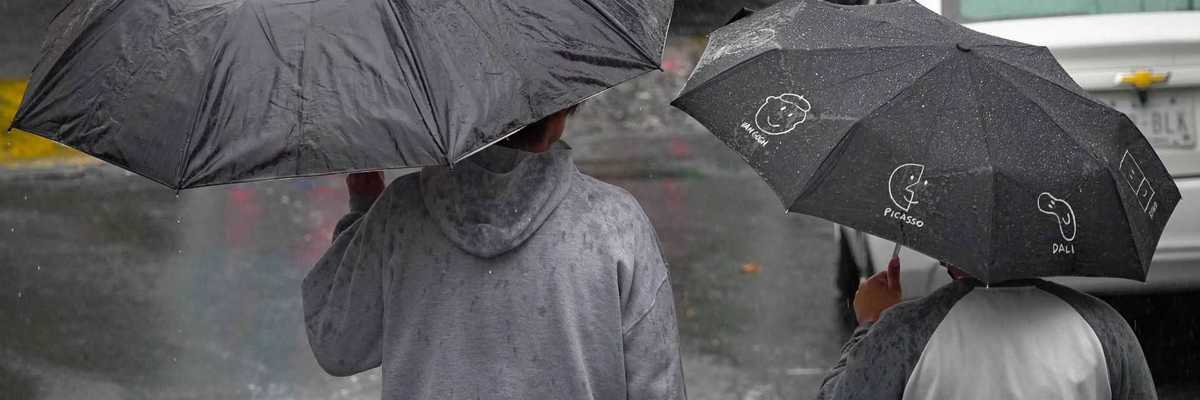 Two people walking in the rain with black umbrellas, seen from behind.