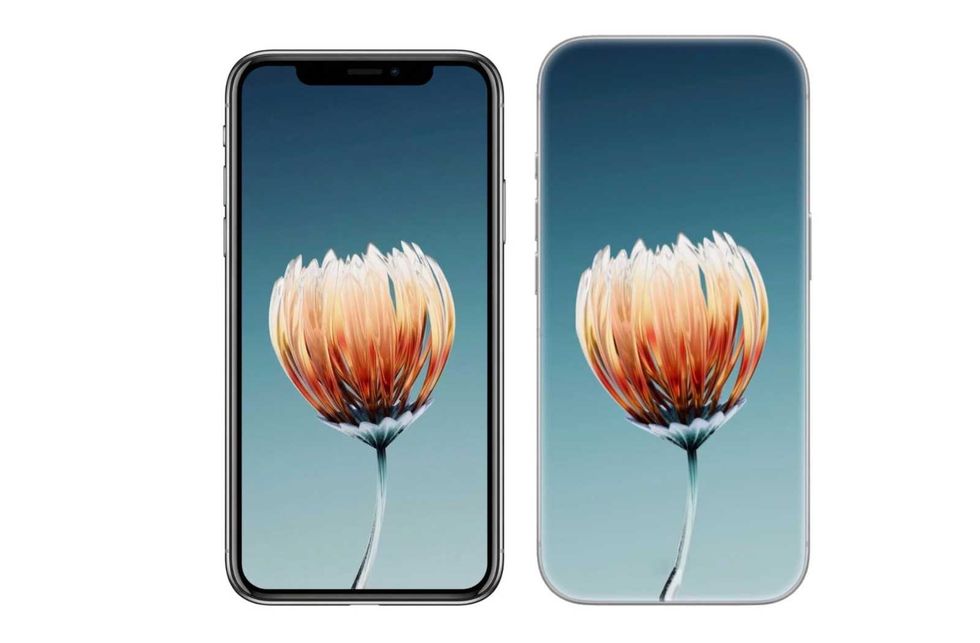 Two smartphones with orange flower on blue screen, right one with slimmer borders.