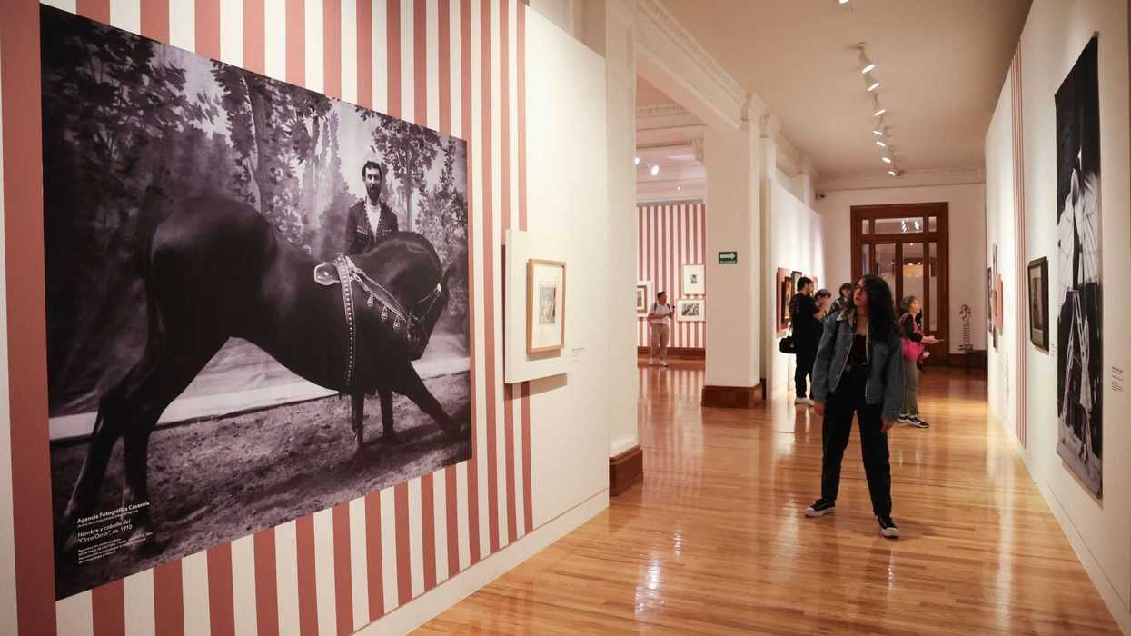 Woman admiring art in a gallery with striped walls and wooden floors.