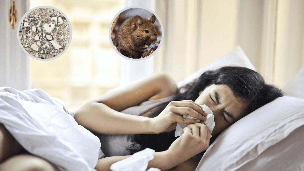 Woman in bed sneezing; inset of mouse and virus illustration.